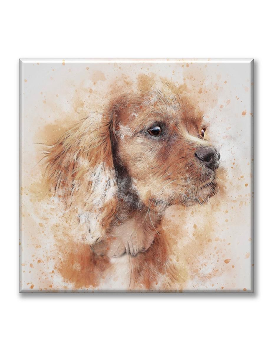 Cuadro decorativo Perro pintado
