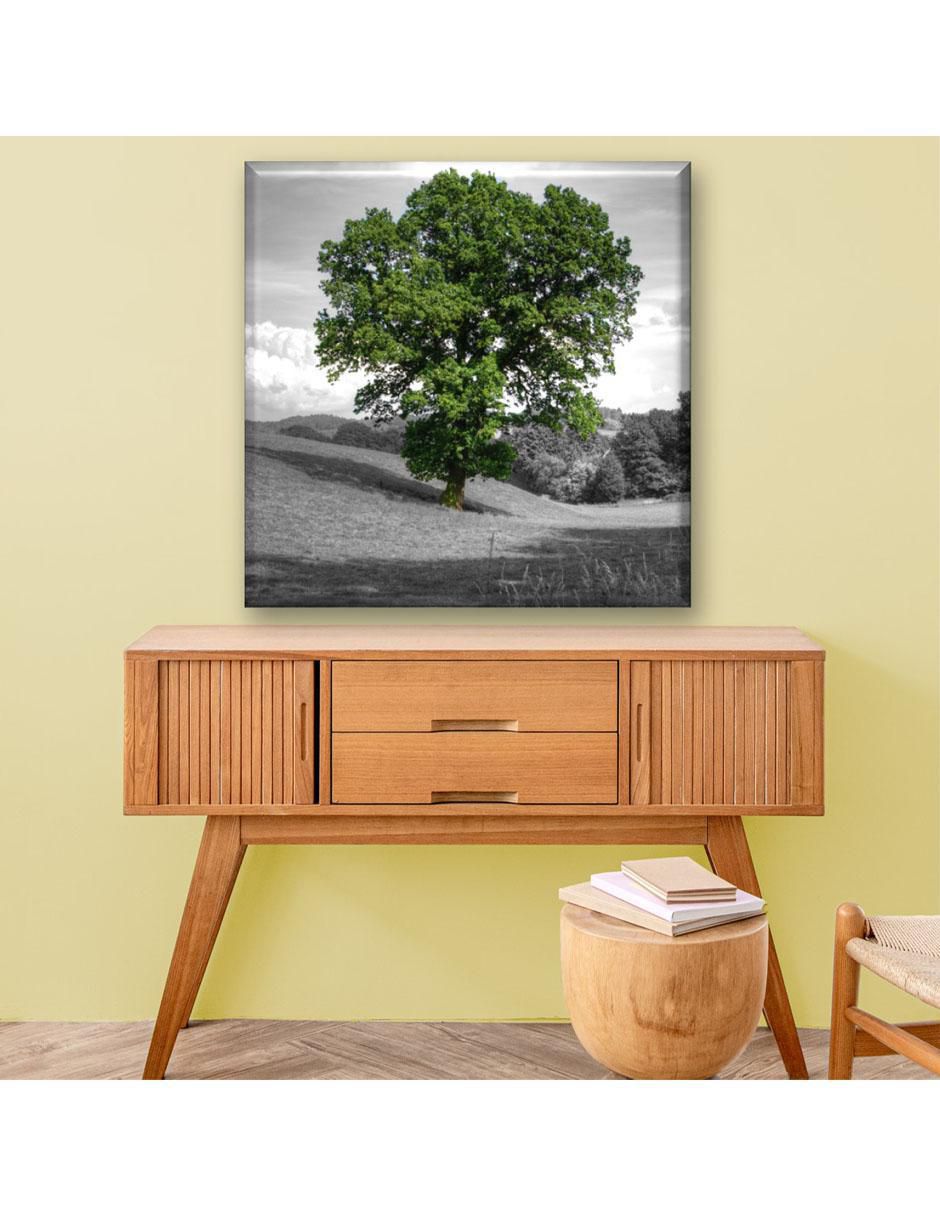 Cuadro decorativo Árbol 2