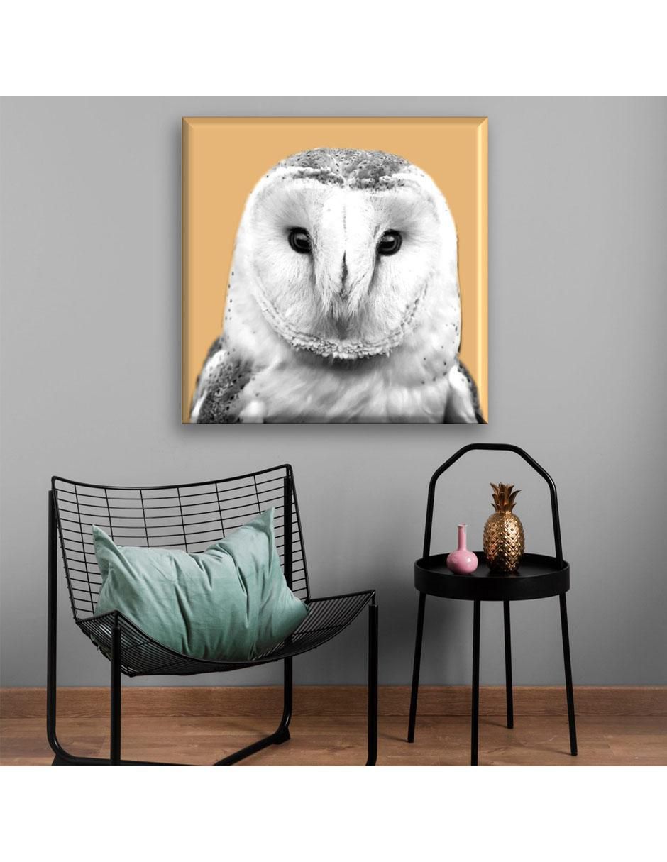 Cuadro decorativo Lechuza 2