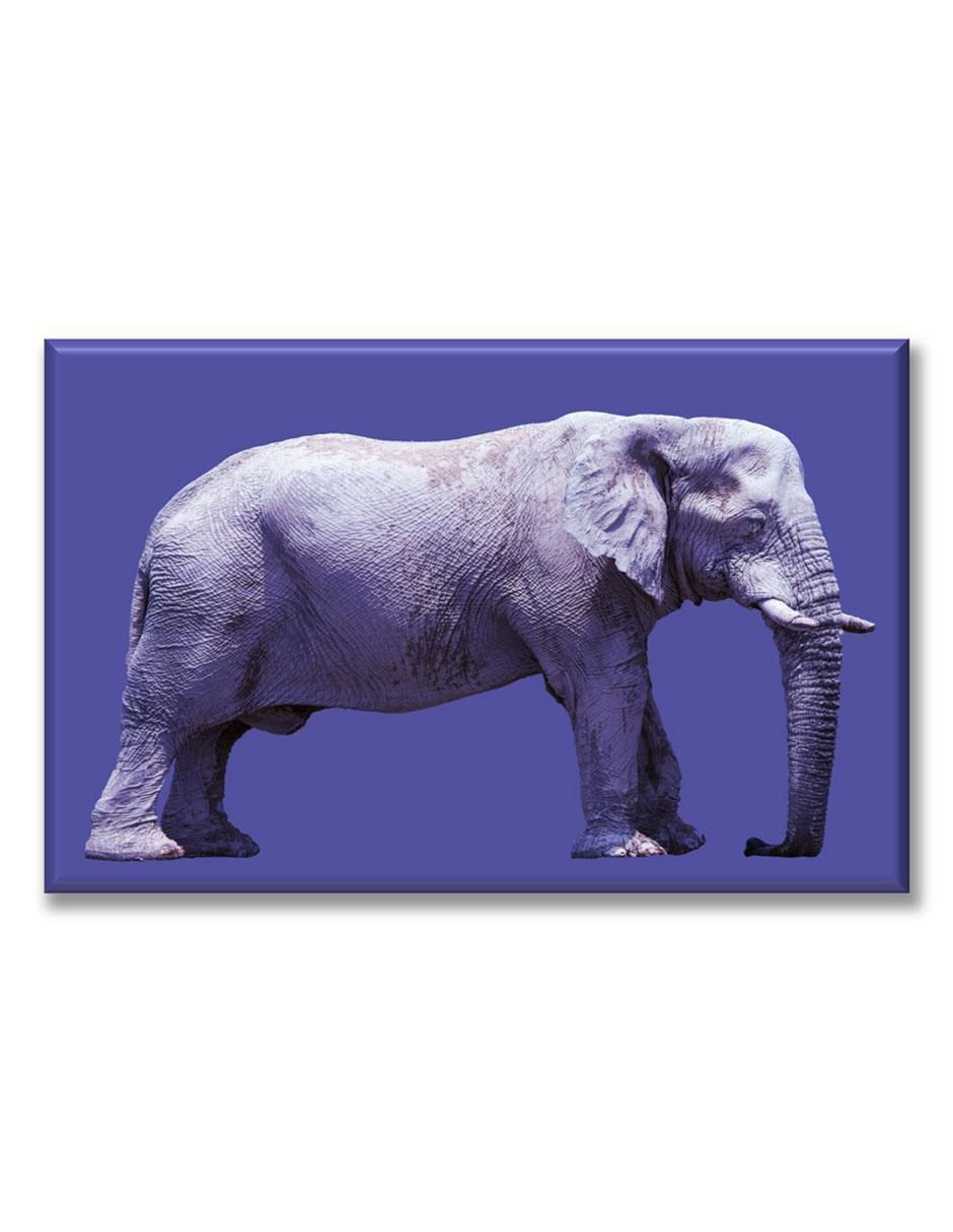 Cuadro decorativo Elefante