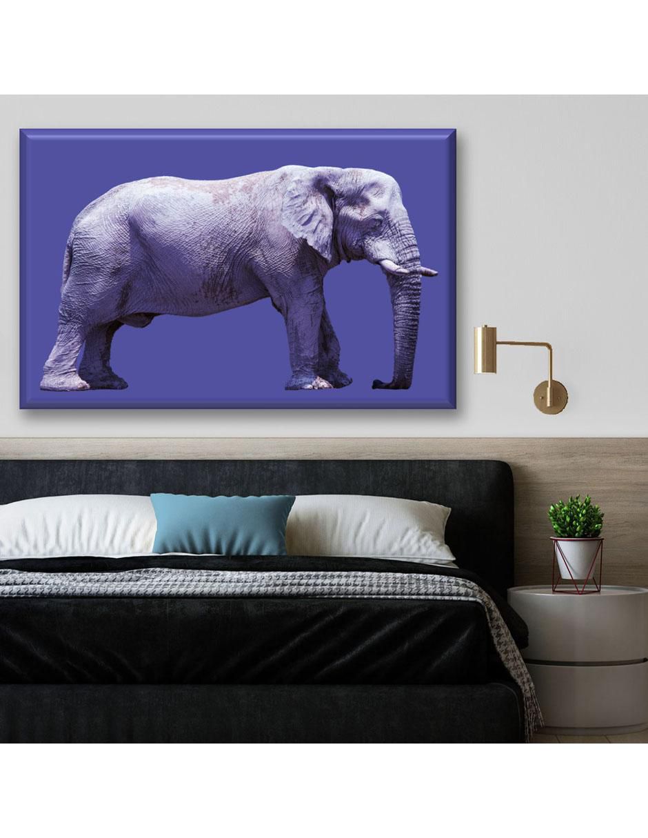 Cuadro decorativo Elefante 2