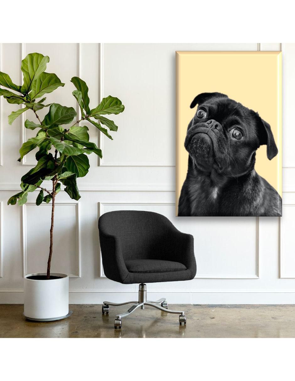 Cuadro decorativo Pug negro 2