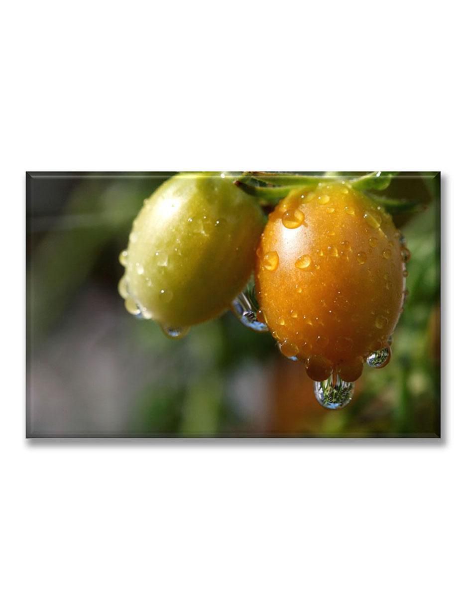 Cuadro decorativo Cosecha de jitomates Cuadro decorativo Cosecha de jitomates
