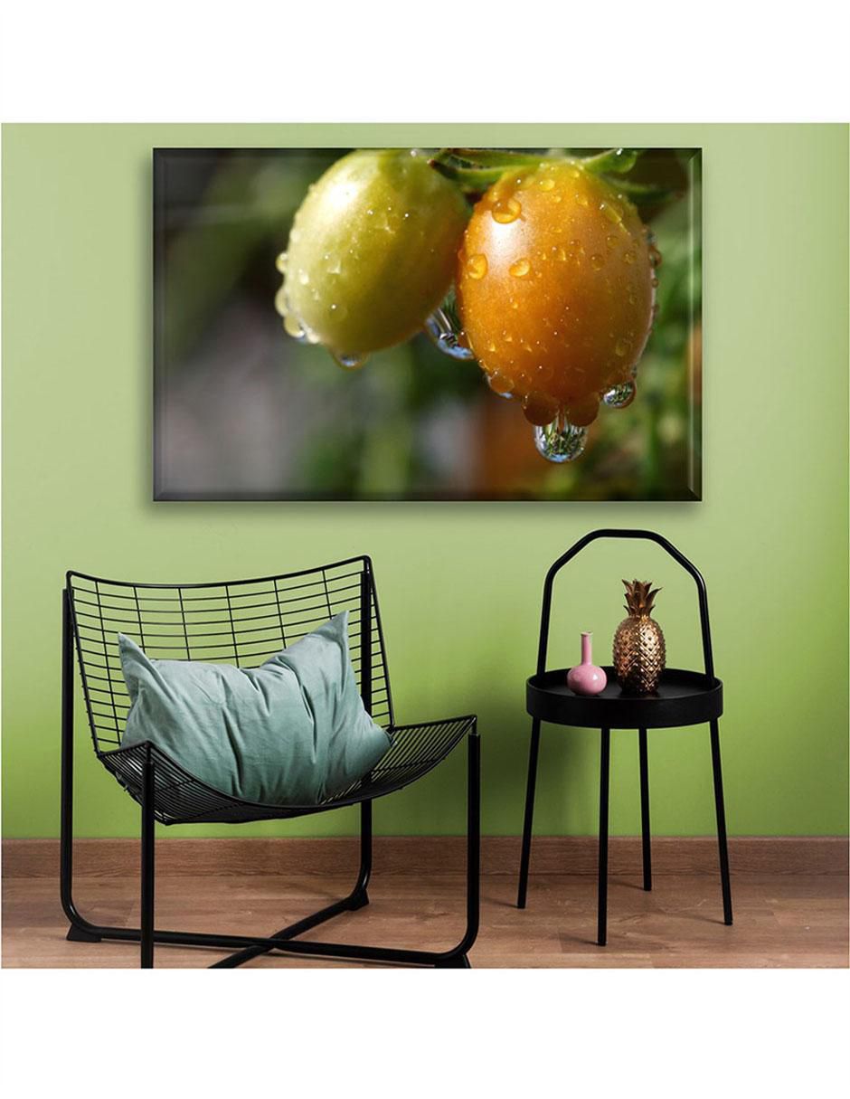 Cuadro decorativo Cosecha de jitomates 2