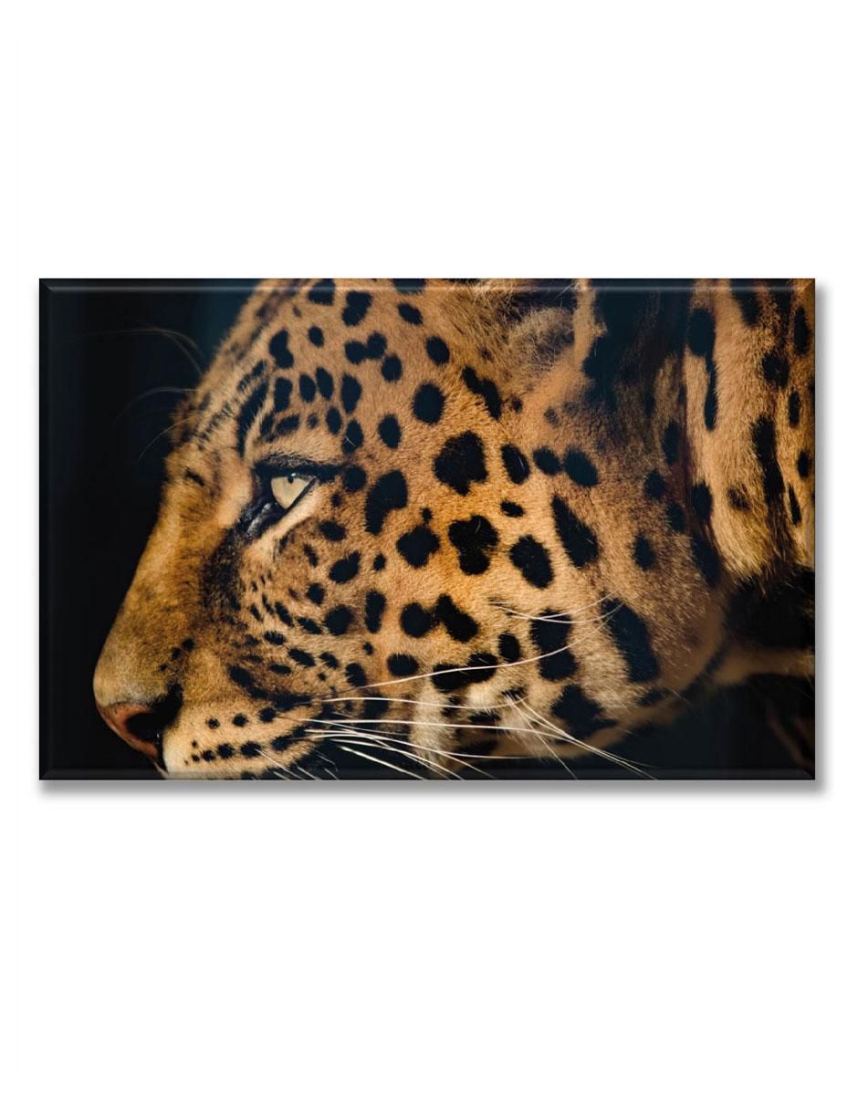 Cuadro decorativo Leopardo Cuadro decorativo Leopardo