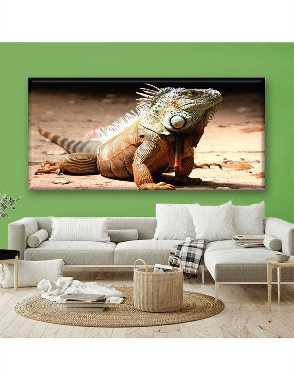 Cuadro decorativo Iguana 2