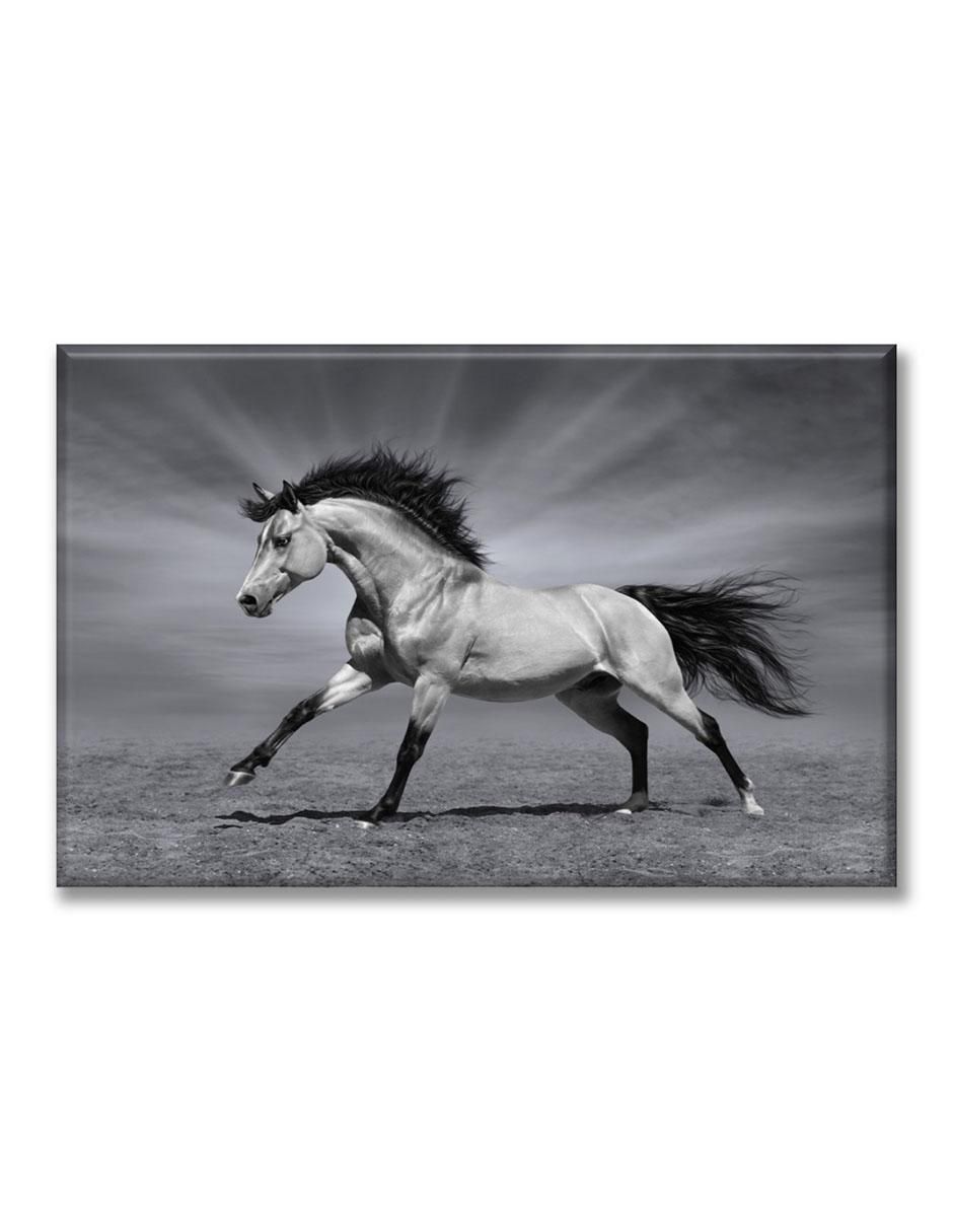 Cuadro decorativo Caballo pura sangre