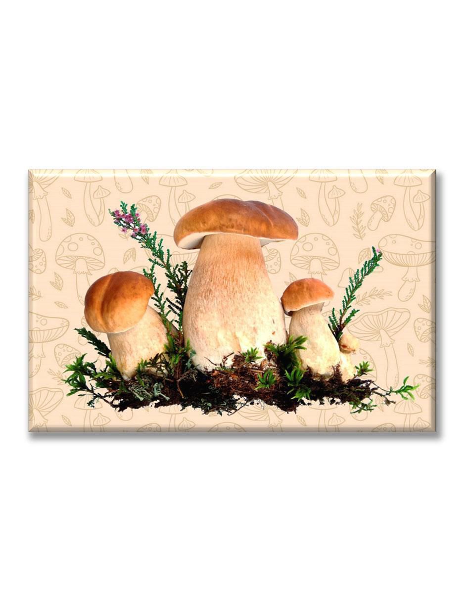 Cuadro decorativo hongos del bosque