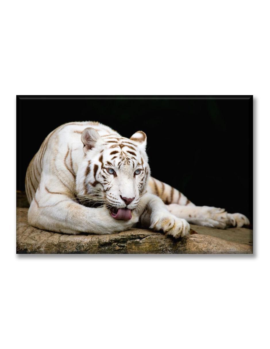 Cuadro decorativo Tigre descansando