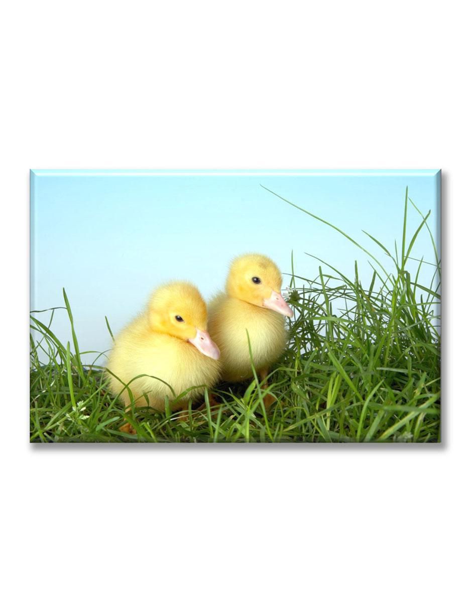 Cuadro decorativo Dos patitos