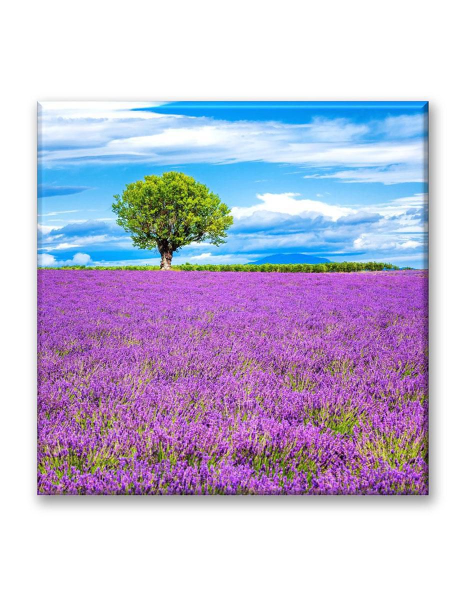 Cuadro decorativo Árbol en campo de lavanda