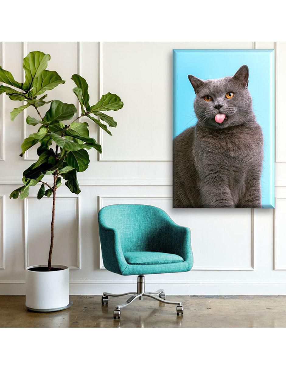 Cuadro decorativo Gato británico 2