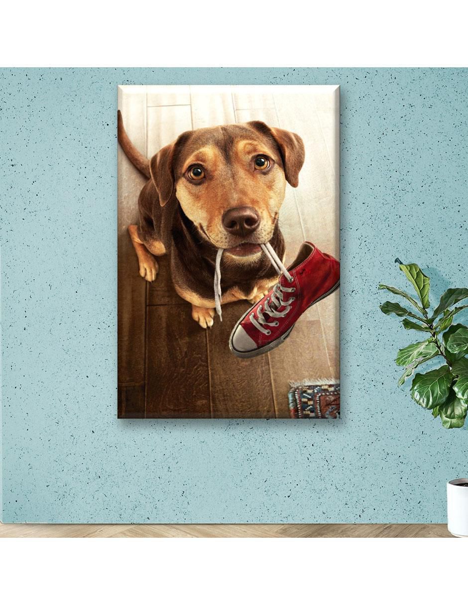 Cuadro decorativo Perro con tenis 3