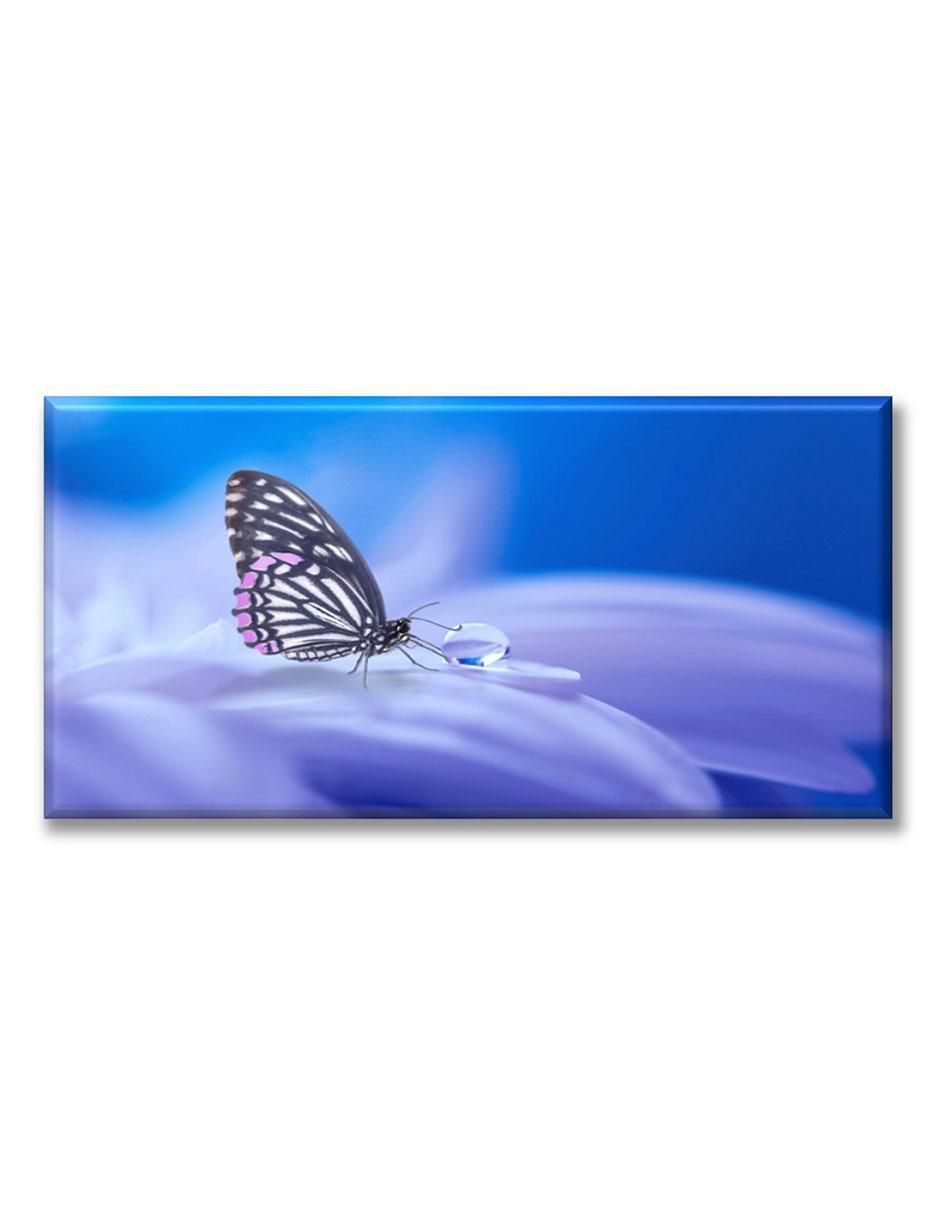 Cuadro decorativo Gota y mariposa
