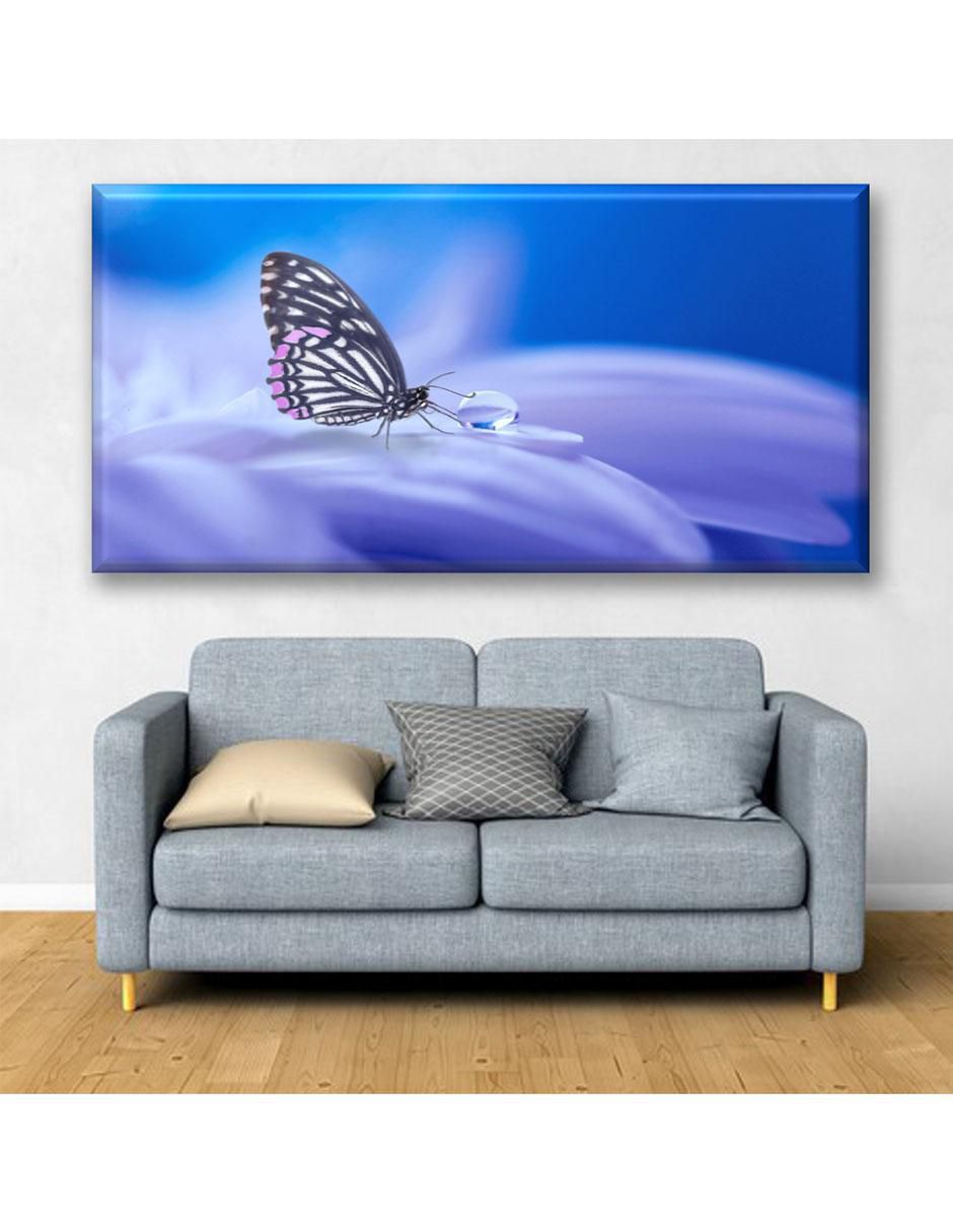 Cuadro decorativo Gota y mariposa 2