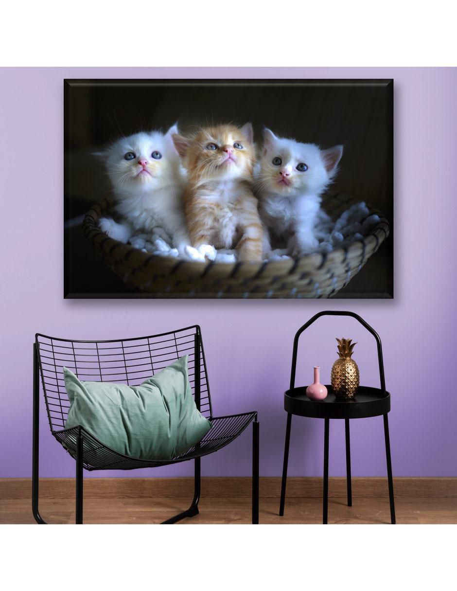 Cuadro decorativo 3 gatitos 2