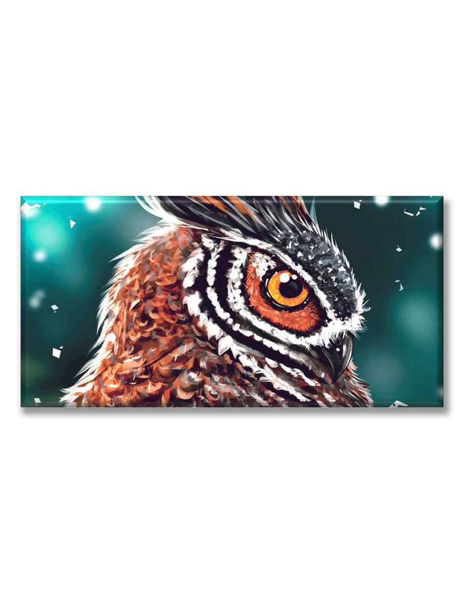 Cuadro decorativo Búho pintura