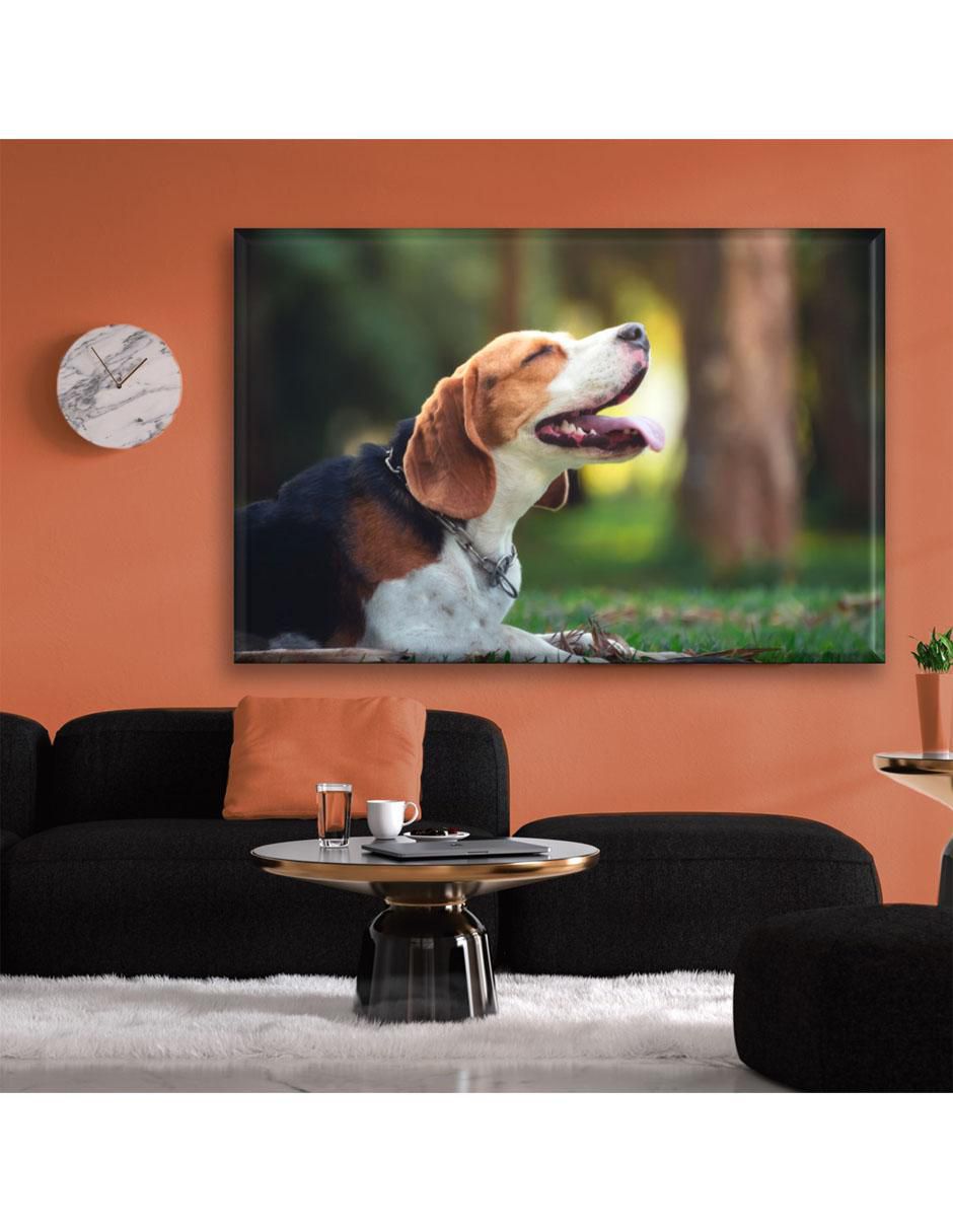 Cuadro decorativo Beagle feliz 2