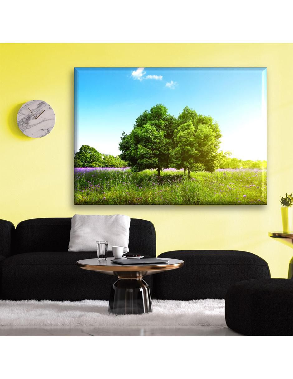 Cuadro decorativo Árbol en primavera 2