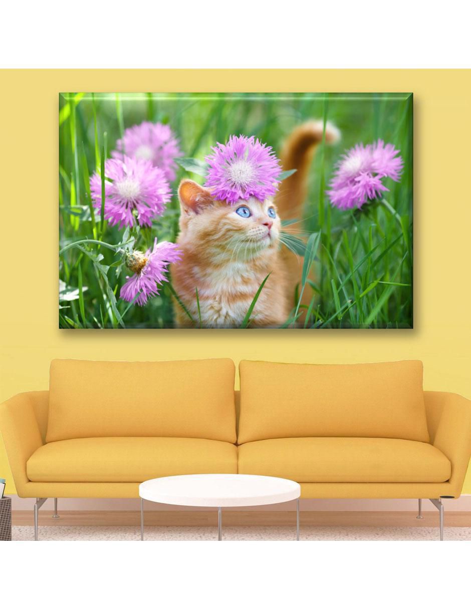 Cuadro decorativo Gatito en el jardín 2