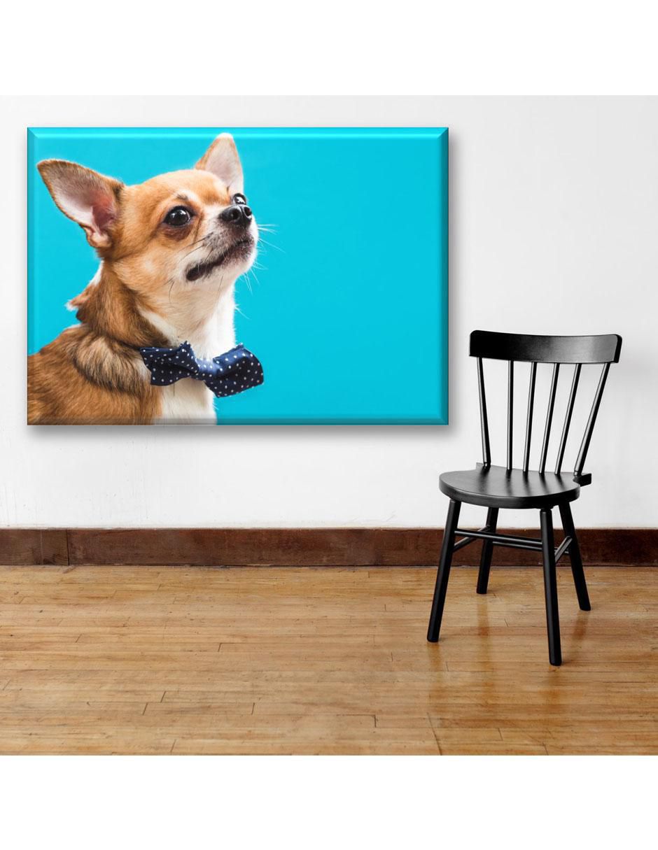 Cuadro decorativo Chihuahua elegante 2