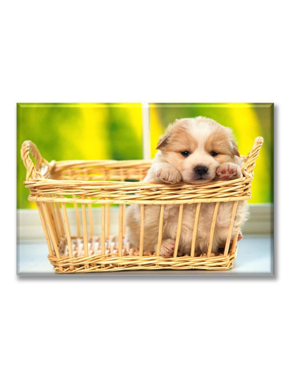 Cuadro decorativo Cachorro en canasta