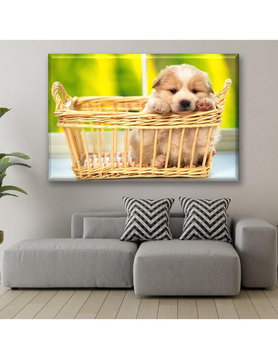Cuadro decorativo Cachorro en canasta 3