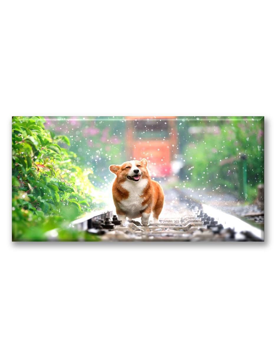 Cuadro decorativo Corriendo en la lluvia Cuadro decorativo Corriendo en la lluvia