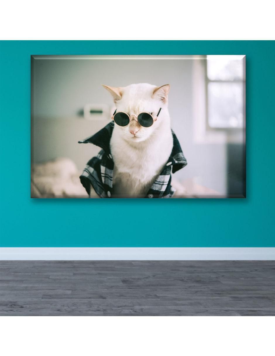 Cuadro decorativo Gato rockero 2