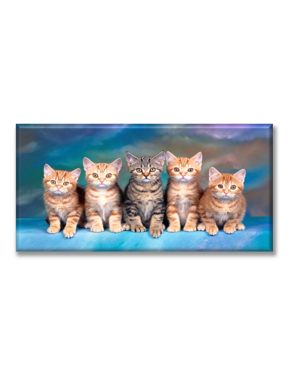 Cuadro decorativo Michis Cuadro decorativo Michis