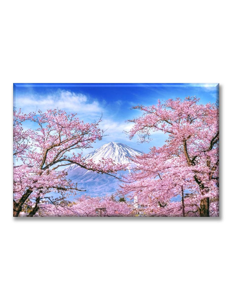 Cuadro decorativo Primavera japón Cuadro decorativo Primavera japón