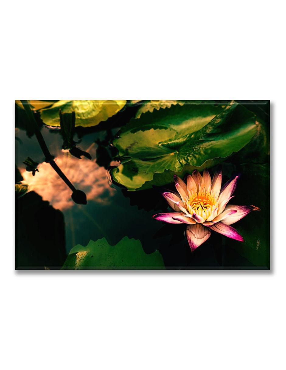 Cuadro decorativo Loto en el agua