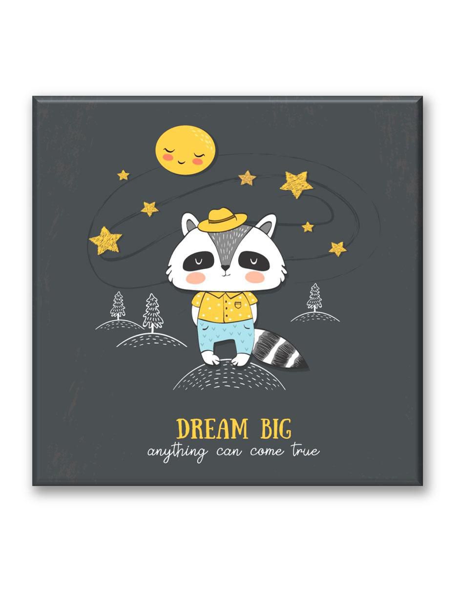 Cuadro decorativo Mapache dream