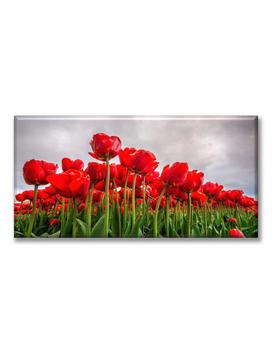 Cuadro decorativo Campos de tulipanes rojos