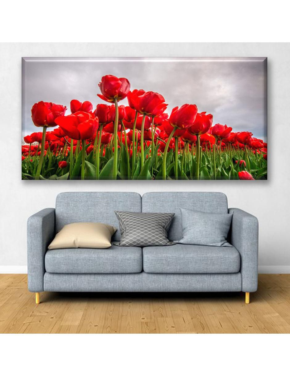 Cuadro decorativo Campos de tulipanes rojos 2