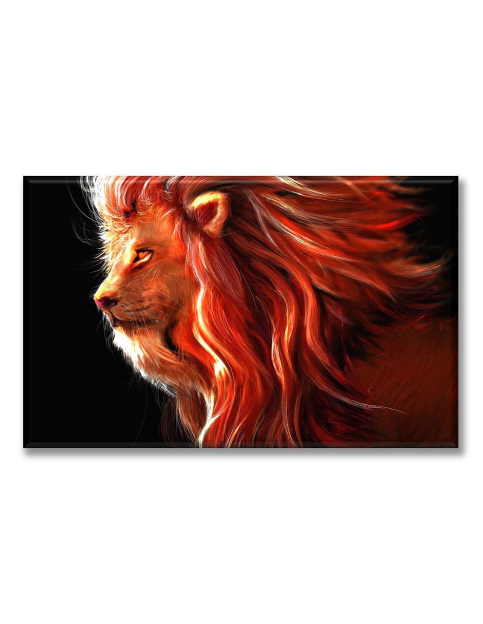 Cuadro decorativo Pelaje rojo