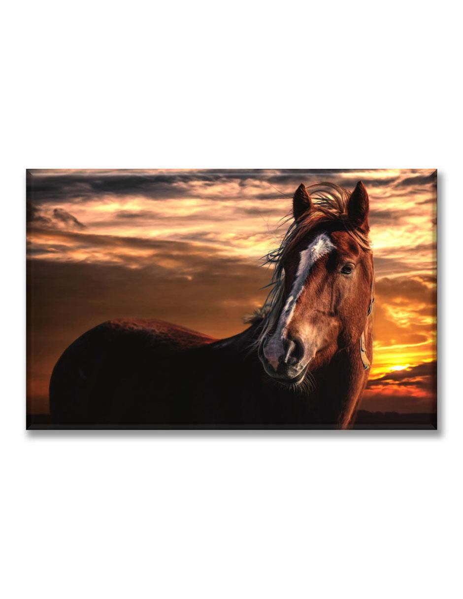 Cuadro decorativo Caballo en el amanecer