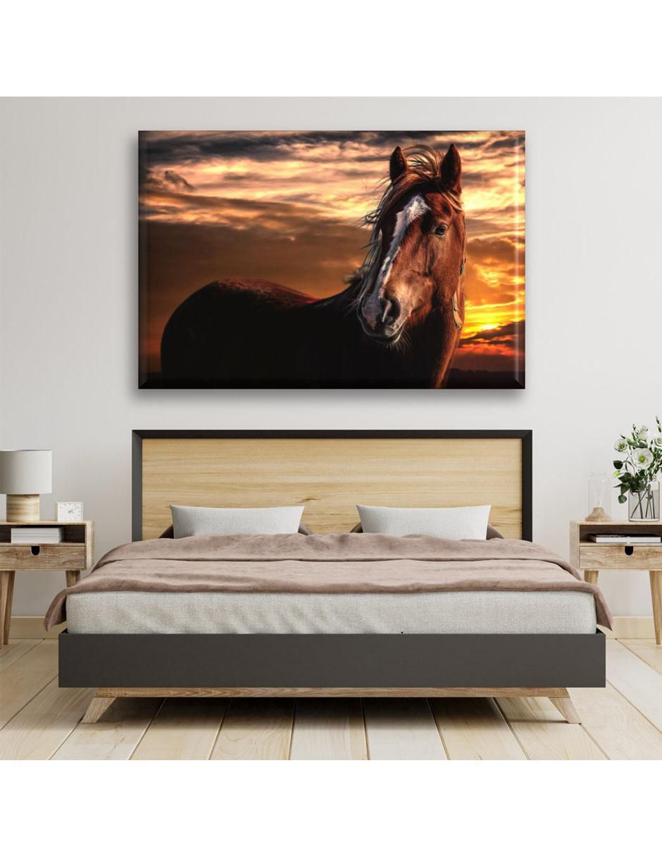 Cuadro decorativo Caballo en el amanecer 2