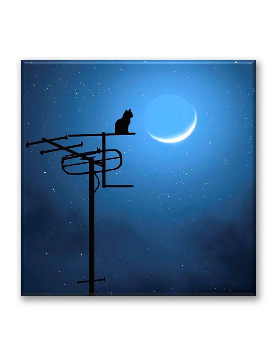 Cuadro decorativo Gato en la luna