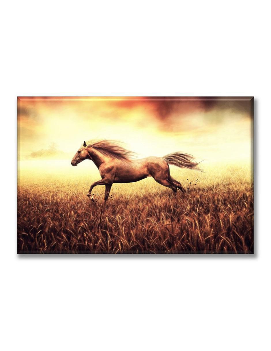 Cuadro decorativo Caballo Cuadro decorativo Caballo
