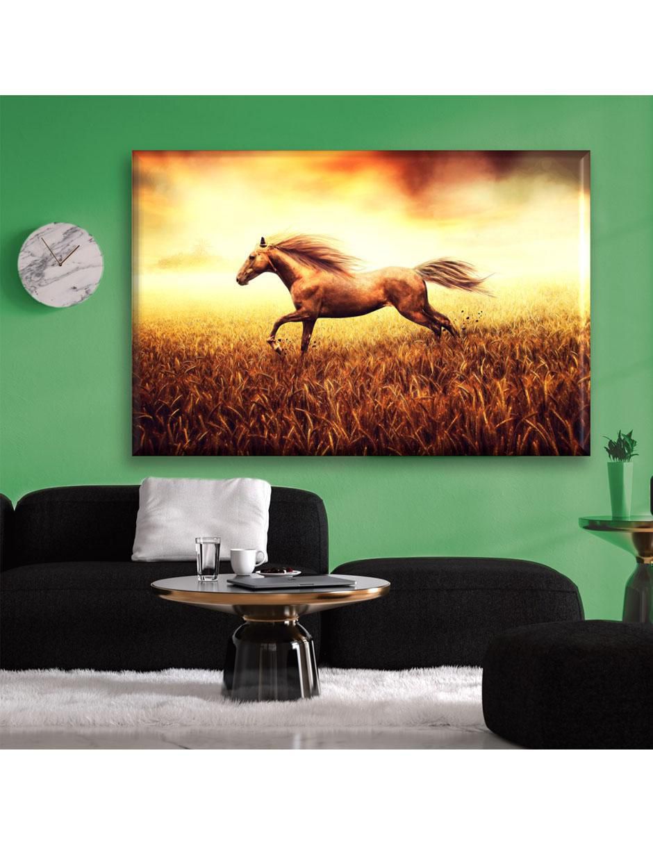 Cuadro decorativo Caballo 2