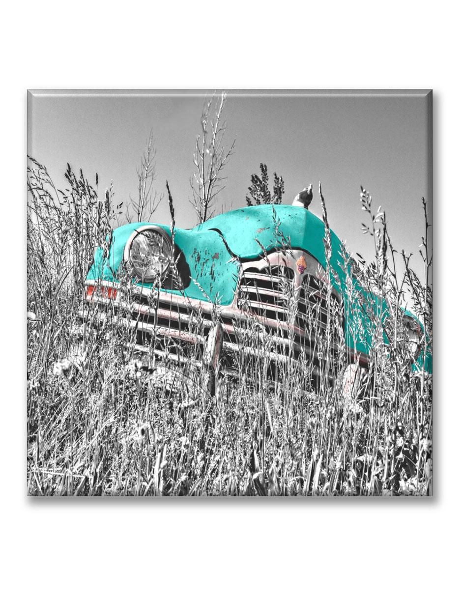 Cuadro decorativo Coche antiguo en la maleza Cuadro decorativo Coche antiguo en la maleza