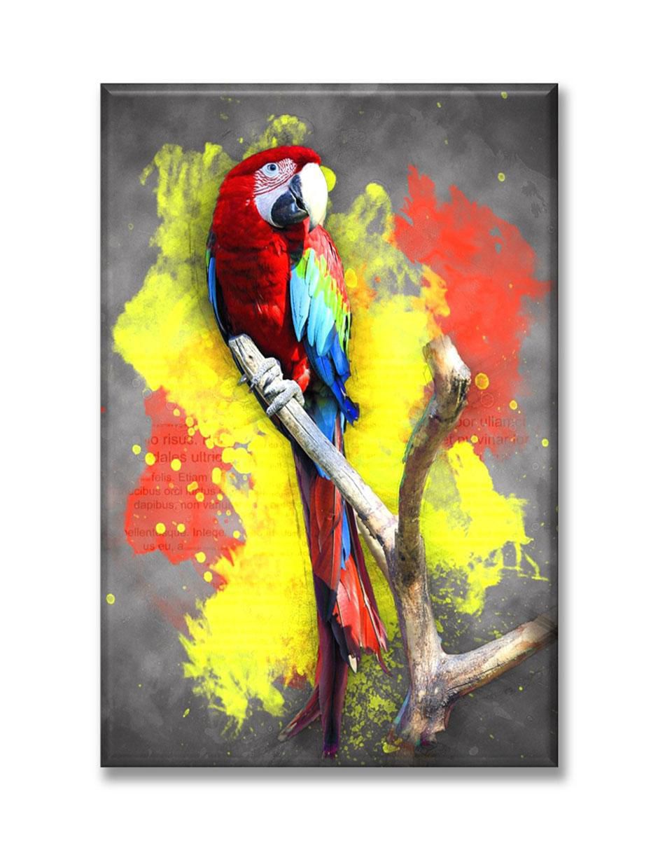 Cuadro decorativo Parrot Cuadro decorativo Parrot