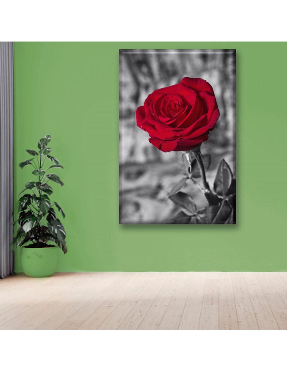 Cuadro decorativo Rosa roja BN 2
