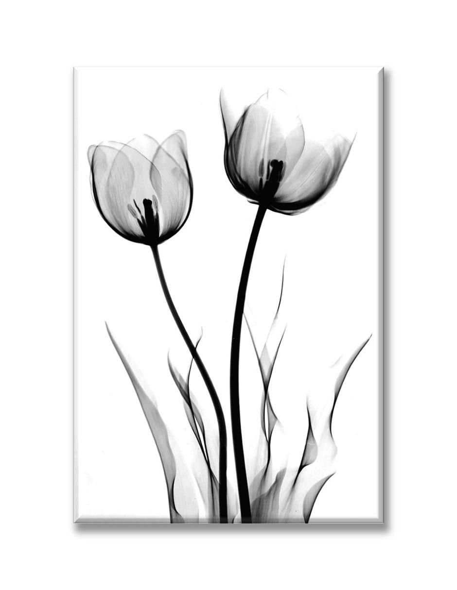 Cuadro decorativo Rayos x flores