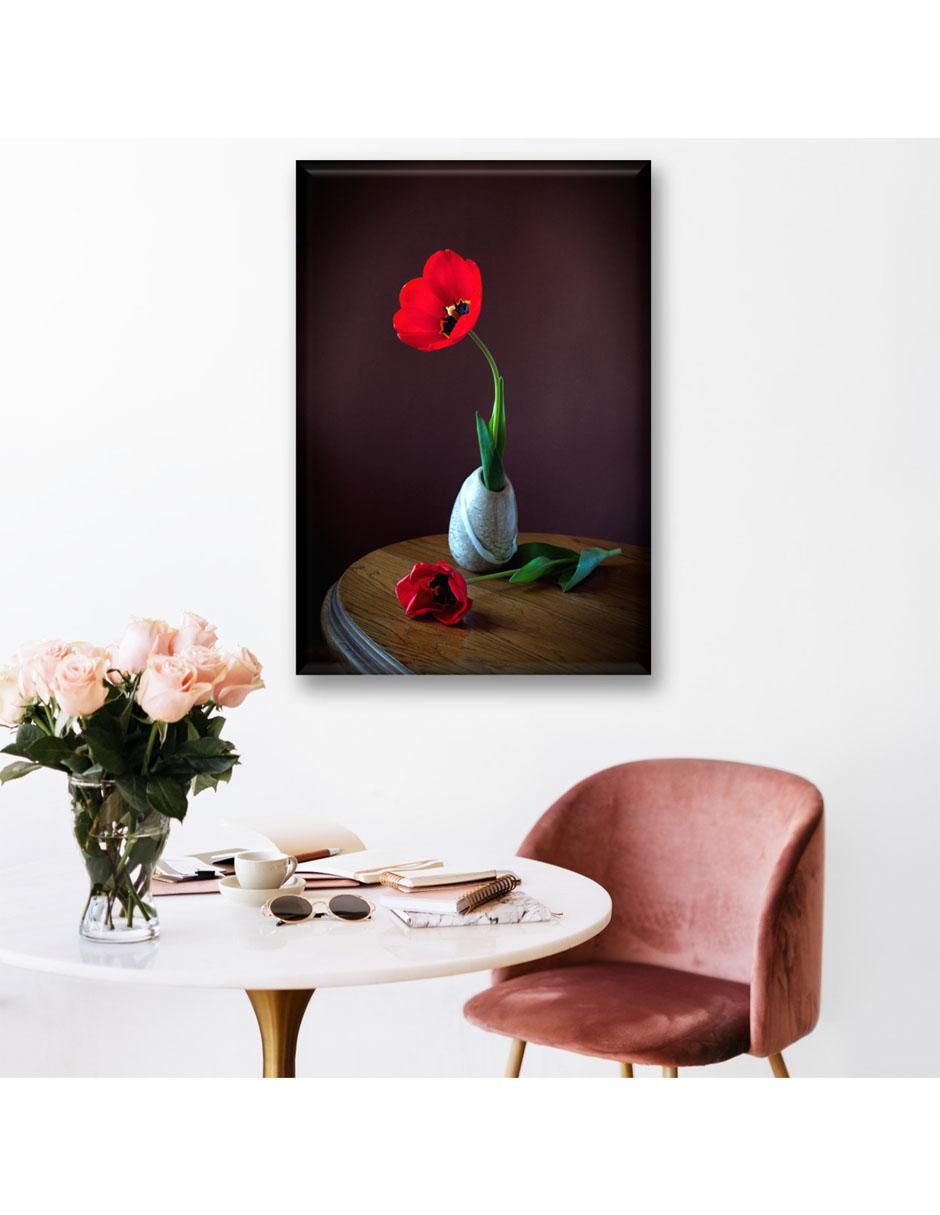 Cuadro decorativo Tulipan rojo 2