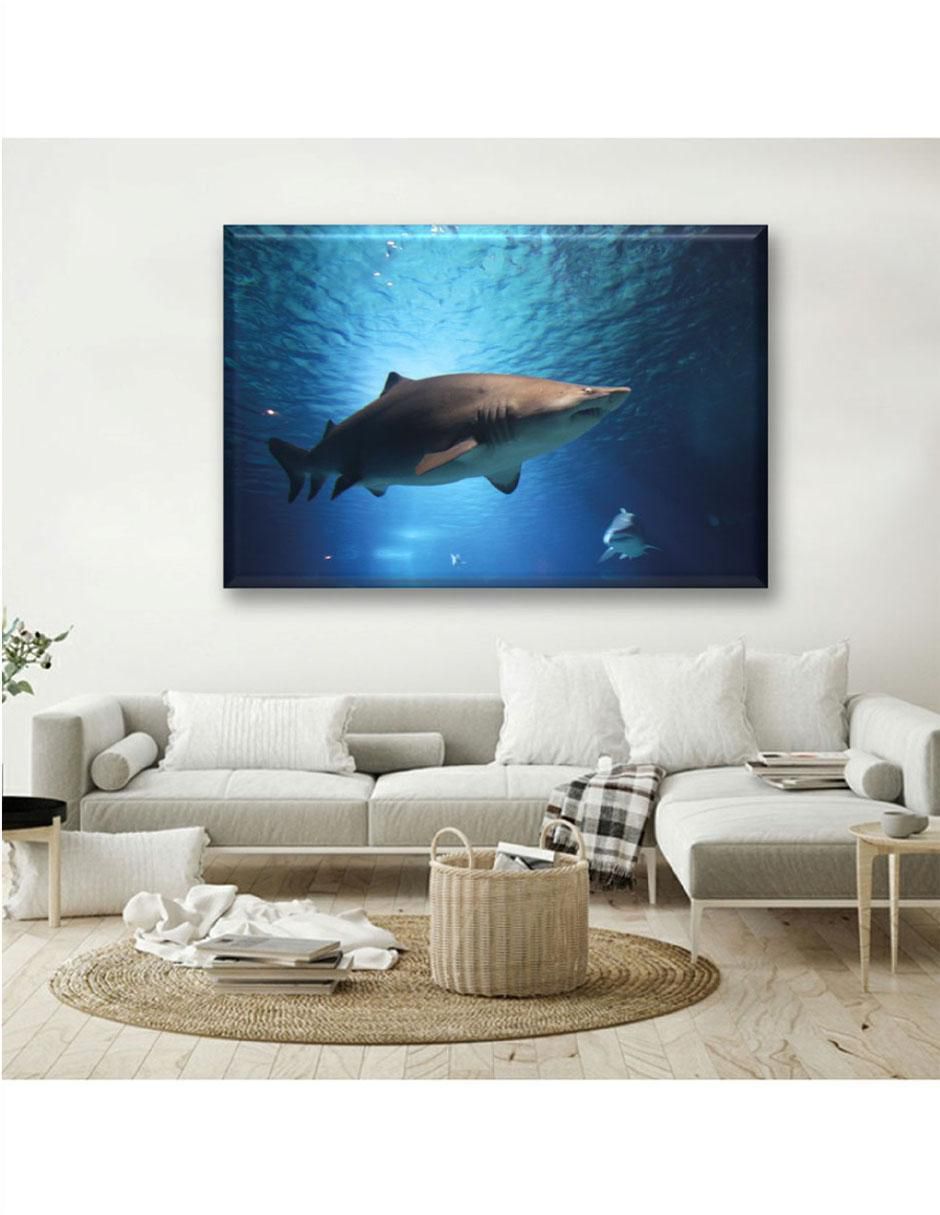 Cuadro decorativo Tiburon 2