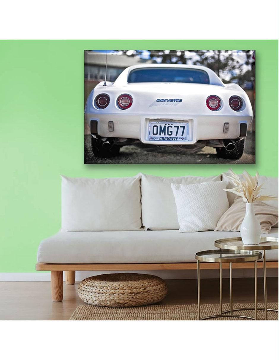 Cuadro decorativo Corv blanco 2