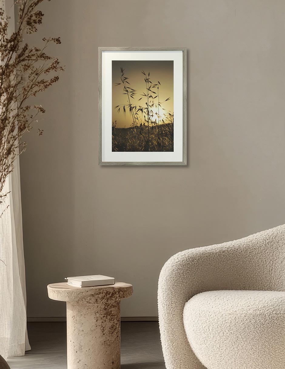 Fotografía Tuscan Fields 4