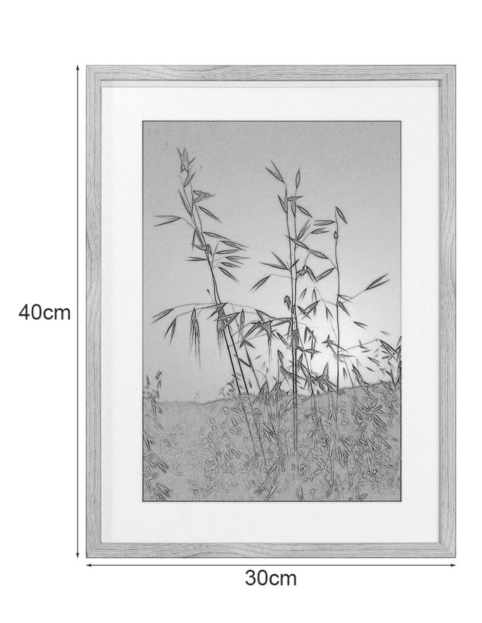 Fotografía Tuscan Fields 5